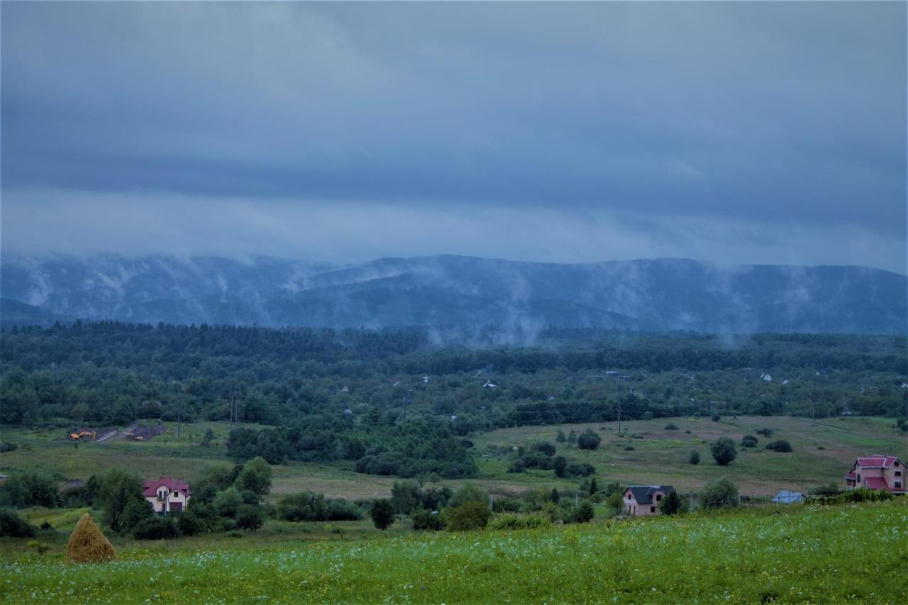 Villa Family House Truskavets Modrychi Εξωτερικό φωτογραφία